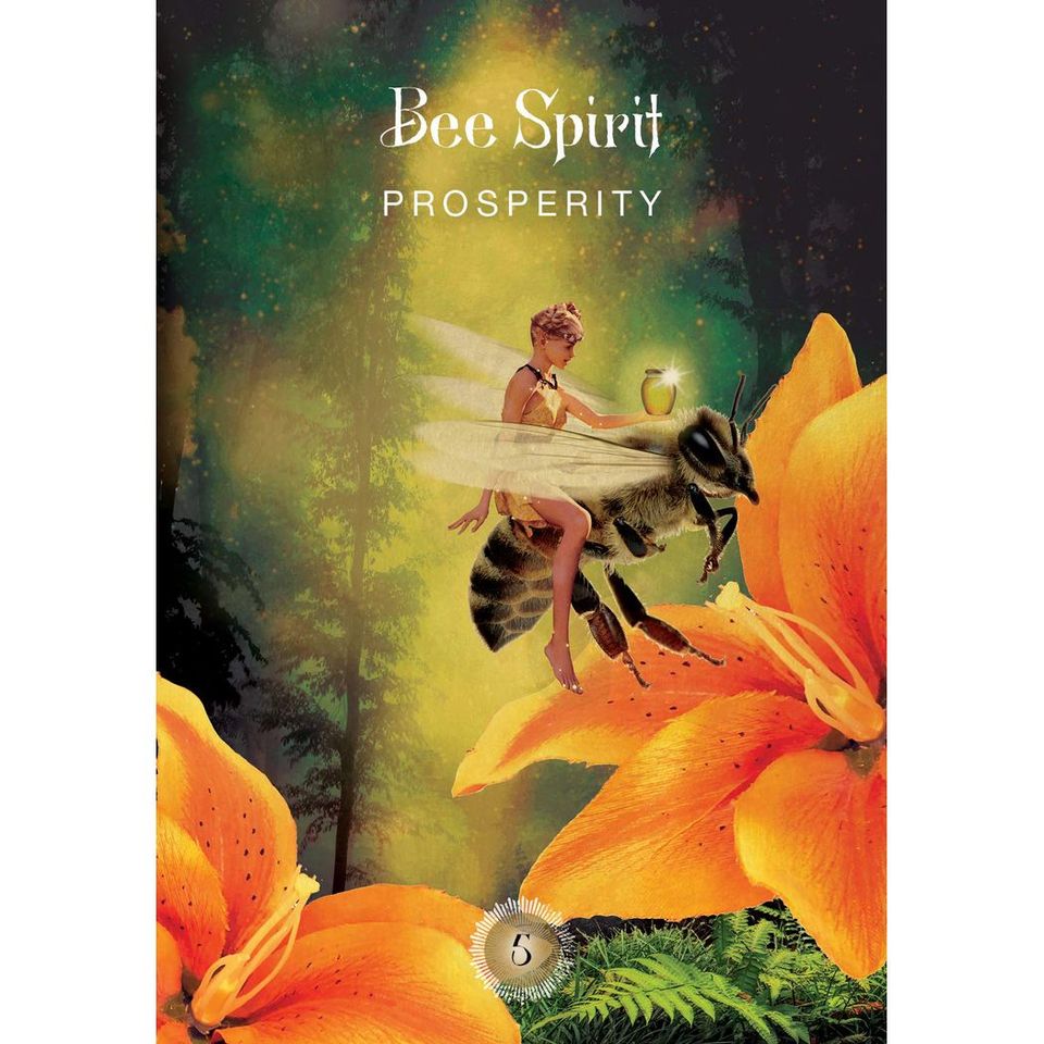 The Sacred Forest Oracle : 52 Cards to Open Energy Portals of a Higher Dimension