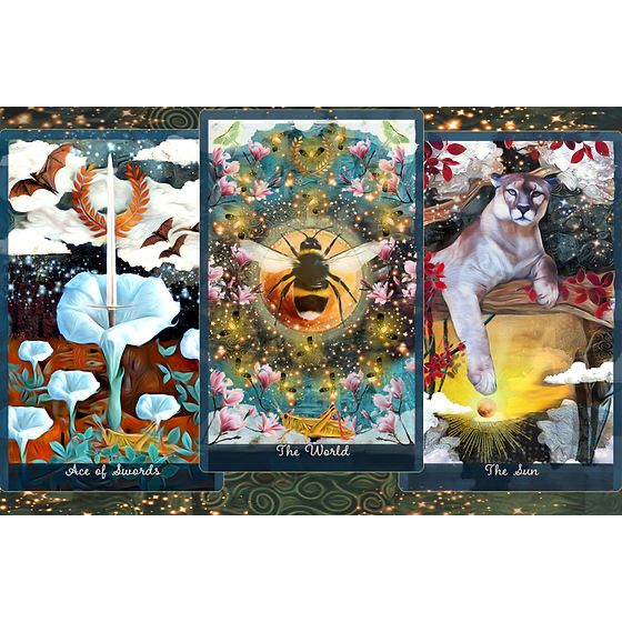 The Guardian of the Night Tarot