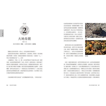 春花媽宇宙藥輪（特典珍藏版：附贈36張動物能量牌卡＋絨布束口袋）：守護動物指引你探索自我、發揮天賦，學習與生命圓滿相融【特別收錄：台灣動物藥輪】Medicine Wheel