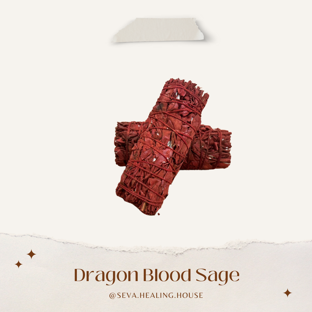 龍血鼠尾草 Dragon Blood Sage