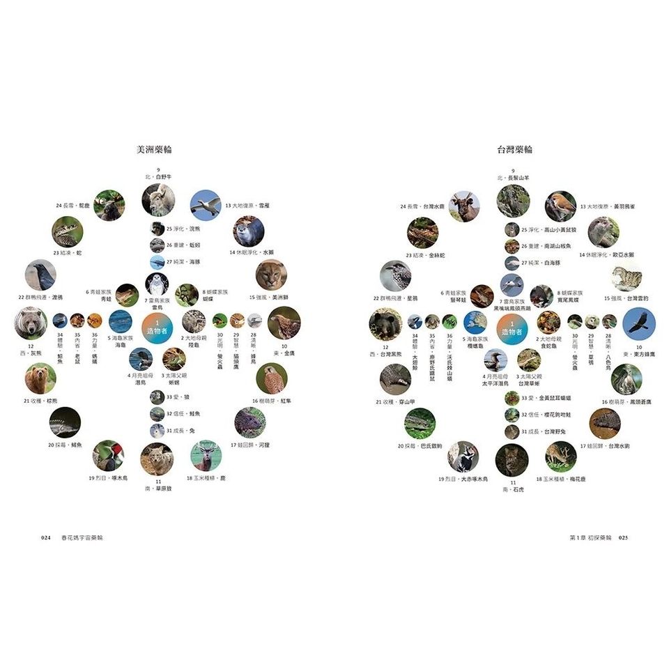 春花媽宇宙藥輪（特典珍藏版：附贈36張動物能量牌卡＋絨布束口袋）：守護動物指引你探索自我、發揮天賦，學習與生命圓滿相融【特別收錄：台灣動物藥輪】Medicine Wheel