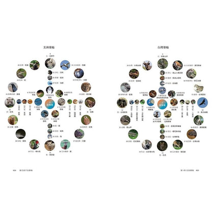春花媽宇宙藥輪（特典珍藏版：附贈36張動物能量牌卡＋絨布束口袋）：守護動物指引你探索自我、發揮天賦，學習與生命圓滿相融【特別收錄：台灣動物藥輪】Medicine Wheel