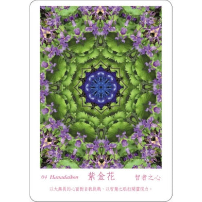 ATIPAYA愛緹帕亞全頻能量花晶療癒卡（精裝磁扣書盒＋61牌卡＋專書＋專用布套）