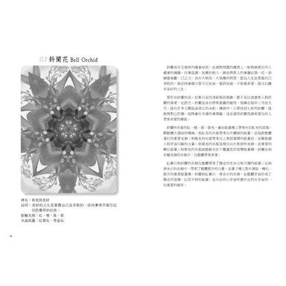 ATIPAYA愛緹帕亞全頻能量花晶療癒卡（精裝磁扣書盒＋61牌卡＋專書＋專用布套）