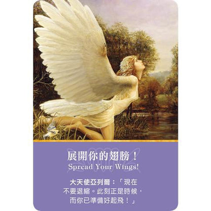 大天使神諭占卜卡（五版）𝐀𝐫𝐜𝐡𝐚𝐧𝐠𝐞𝐥 𝐎𝐫𝐚𝐜𝐥𝐞 𝐂𝐚𝐫𝐝𝐬