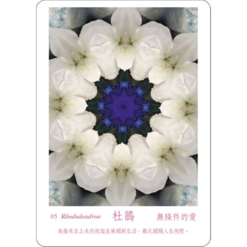 ATIPAYA愛緹帕亞全頻能量花晶療癒卡（精裝磁扣書盒＋61牌卡＋專書＋專用布套）