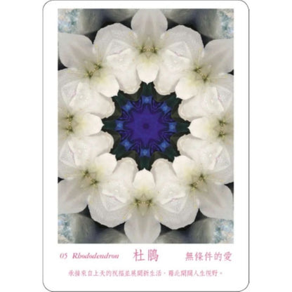 ATIPAYA愛緹帕亞全頻能量花晶療癒卡（精裝磁扣書盒＋61牌卡＋專書＋專用布套）