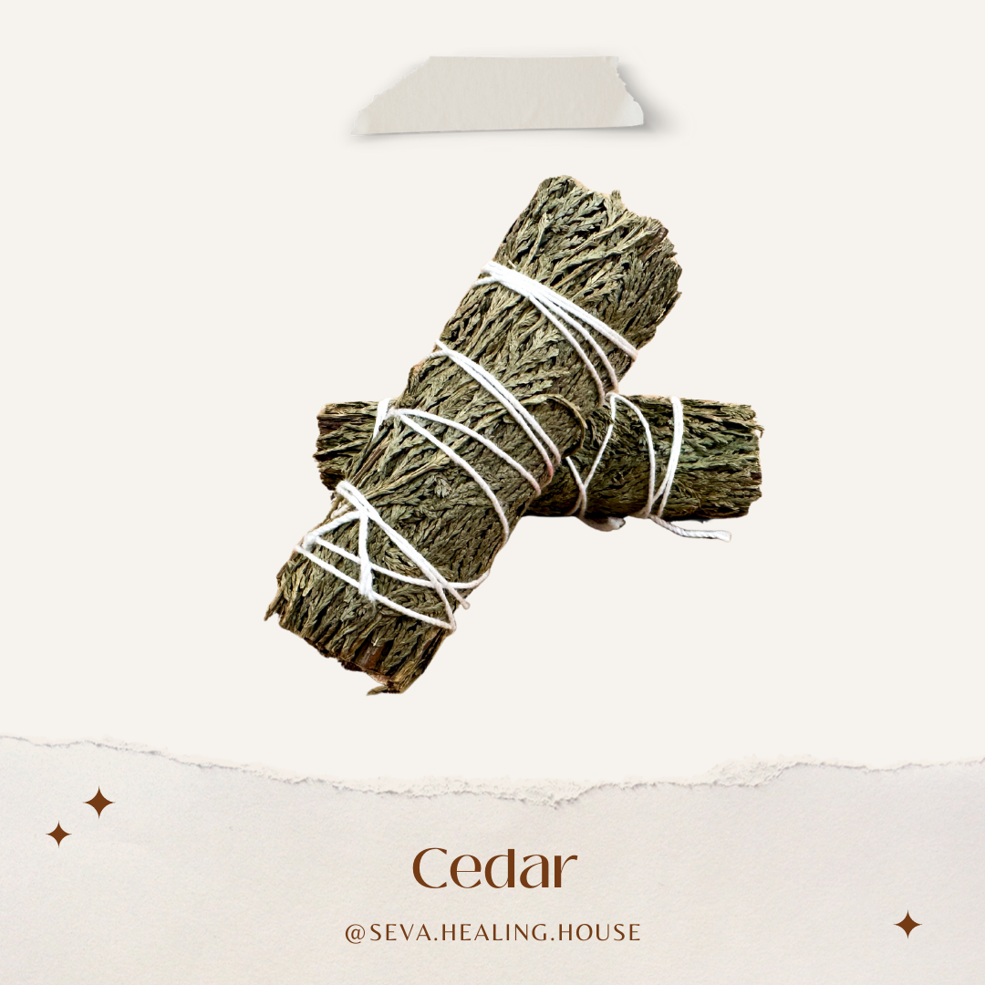 雪松杖 Cedar