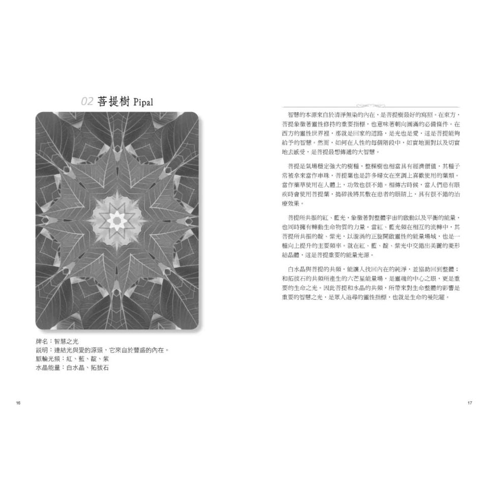 ATIPAYA愛緹帕亞全頻能量花晶療癒卡（精裝磁扣書盒＋61牌卡＋專書＋專用布套）