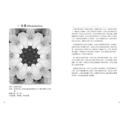 ATIPAYA愛緹帕亞全頻能量花晶療癒卡（精裝磁扣書盒＋61牌卡＋專書＋專用布套）