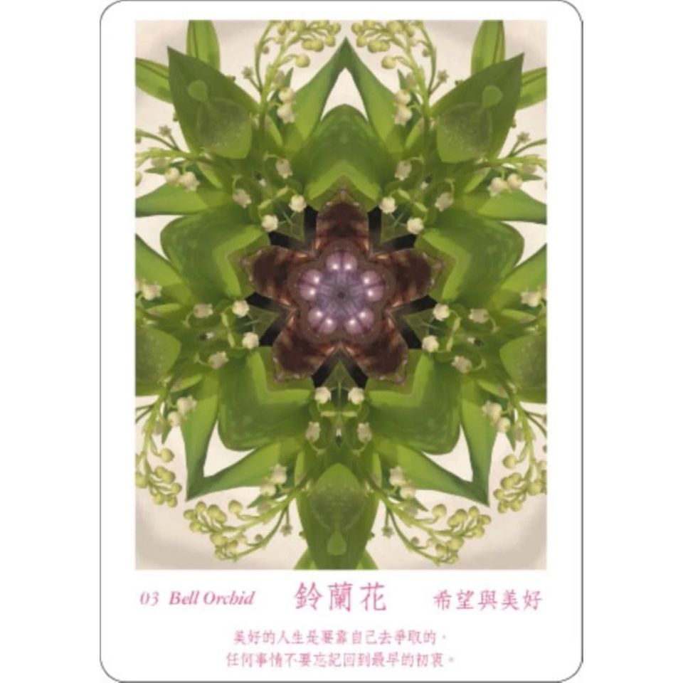 ATIPAYA愛緹帕亞全頻能量花晶療癒卡（精裝磁扣書盒＋61牌卡＋專書＋專用布套）