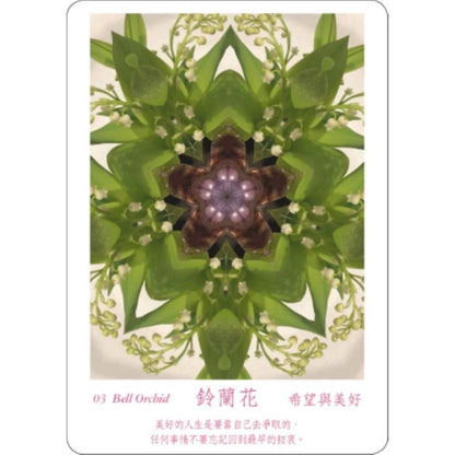 ATIPAYA愛緹帕亞全頻能量花晶療癒卡（精裝磁扣書盒＋61牌卡＋專書＋專用布套）