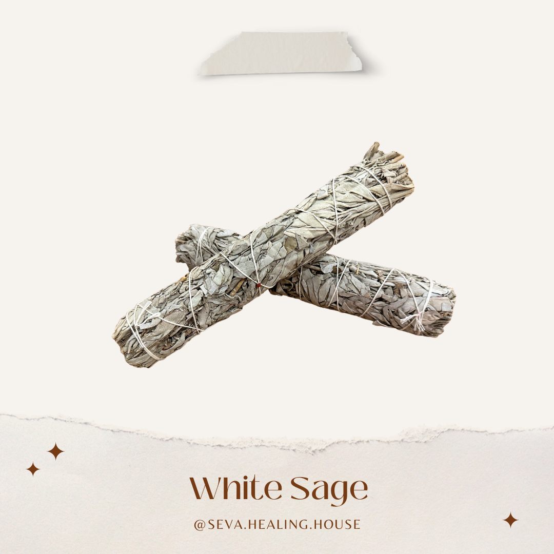 白鼠尾草 White Sage