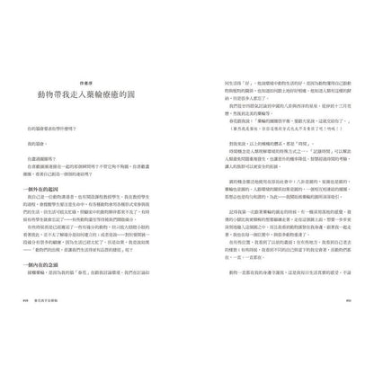 春花媽宇宙藥輪（特典珍藏版：附贈36張動物能量牌卡＋絨布束口袋）：守護動物指引你探索自我、發揮天賦，學習與生命圓滿相融【特別收錄：台灣動物藥輪】Medicine Wheel