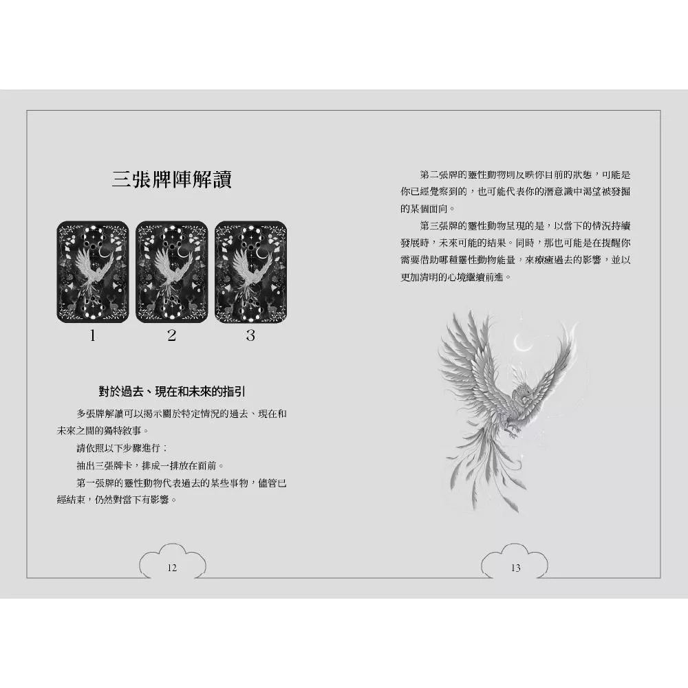 🐾 動物力量療癒卡 🐾