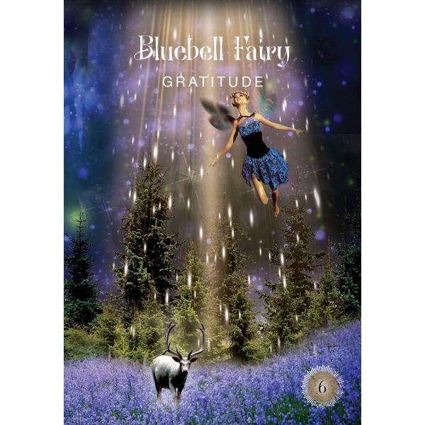 The Sacred Forest Oracle : 52 Cards to Open Energy Portals of a Higher Dimension