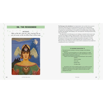 Wild Goddess Oracle 狂野女神神諭卡